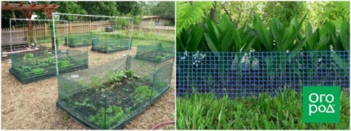 Из чего сделать борта для грядок: 5 проверенных материалов