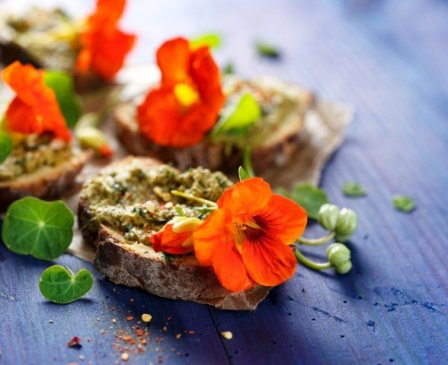 Декоративный огород, или как выращивать цветы и овощи на одной грядке