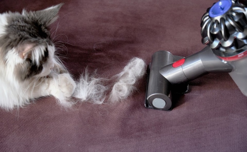 
                                7 лайфхаков простой уборки для тех, у кого есть дети и домашние животные                            