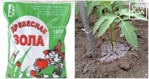 Народные средства для подкормки помидоров – самые лучшие рецепты