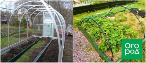 Из чего сделать борта для грядок: 5 проверенных материалов