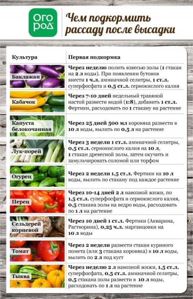 Все, что вы хотели знать о высадке рассады в грунт (в таблицах)