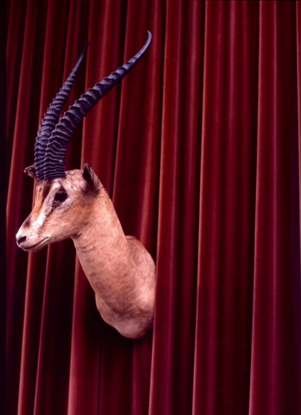 Дом-легенда: квартира Карло Моллино