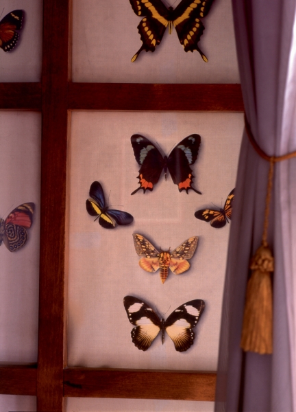 Дом-легенда: квартира Карло Моллино