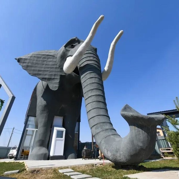 Дома-слоны: как выглядят самые необычные дома Подмосковья снаружи и внутри