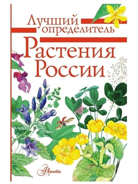 Гавайская роза, конопля и шалфей: что запрещено выращивать на даче в России