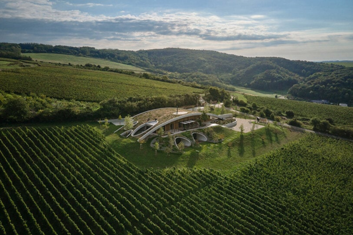 Винодельня Gurdau с зеленой крышей