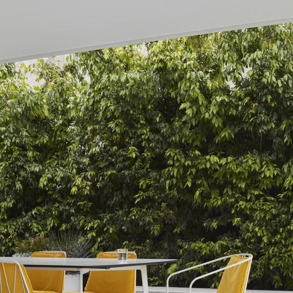 Белый снаружи и яркий внутри: дом для молодой семьи в Сиднее