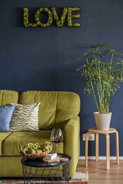 
                                6 красивых цветных интерьеров, которые вам захочется повторить                            