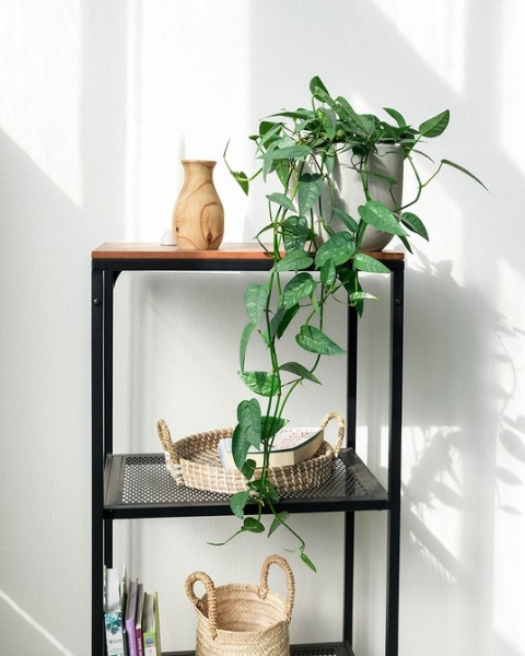 Что поменять в интерьере, который больше не радует? 7 разных идей