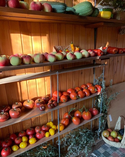 Кладовка на даче: где разместить и как сделать своими руками (53 фото)