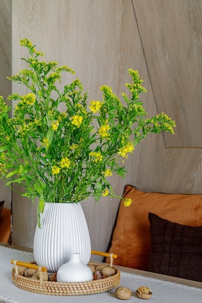 
                                Такой бани вы еще не видели! Модульный домик 20 кв. м с парной, кухней и зоной отдыха                            