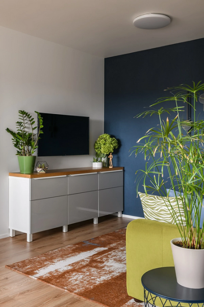 Цвет гостиной: советы по выбору палитры и красивые примеры сочетаний (105 фото)