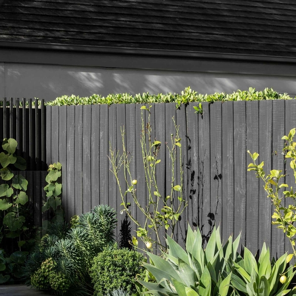 Дом под Мельбурном, где соединили прошлое и настоящее