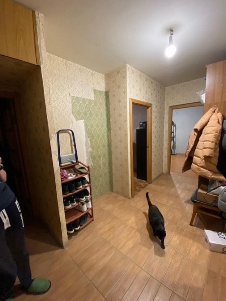 
                                Классное до и после! Из ремонта 2000-х — в стильный интерьер. Квартира 54 кв. м                            