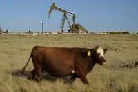 Россиянам назвали неочевидный способ сократить затраты на тепло и свет
