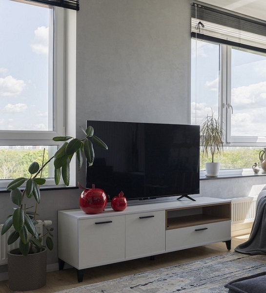 
                                Шкаф под телевизор в зал: тренды, виды, советы по выбору и 78 фото разных моделей                            