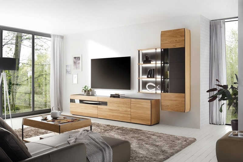 
                                Шкаф под телевизор в зал: тренды, виды, советы по выбору и 78 фото разных моделей                            