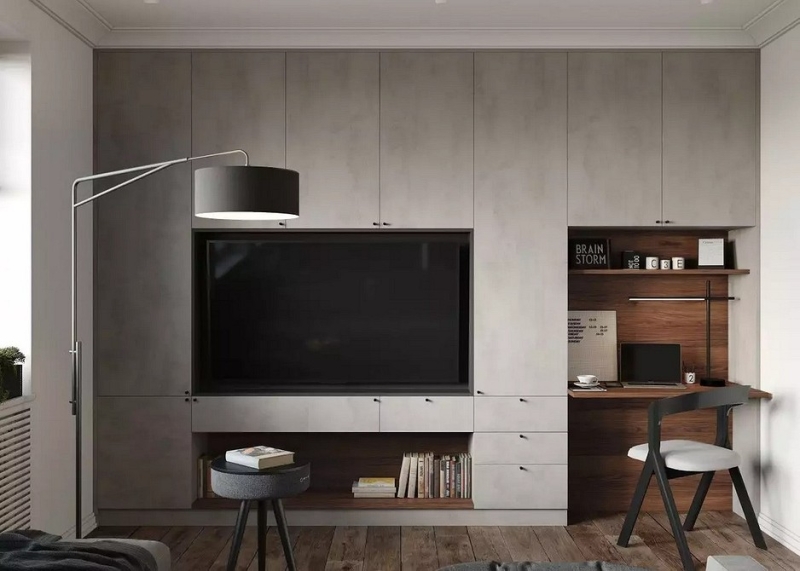 
                                Шкаф под телевизор в зал: тренды, виды, советы по выбору и 78 фото разных моделей                            