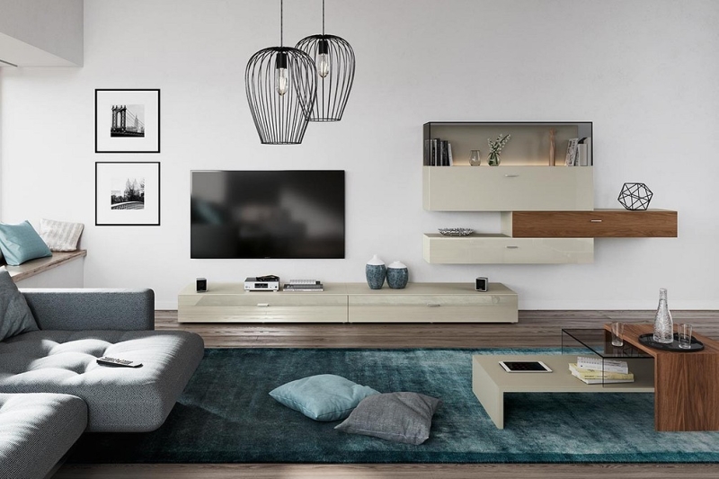 
                                Шкаф под телевизор в зал: тренды, виды, советы по выбору и 78 фото разных моделей                            