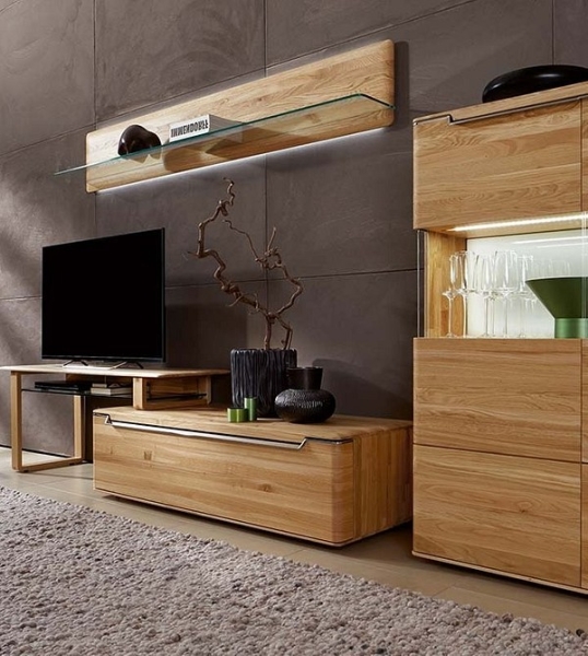 
                                Шкаф под телевизор в зал: тренды, виды, советы по выбору и 78 фото разных моделей                            