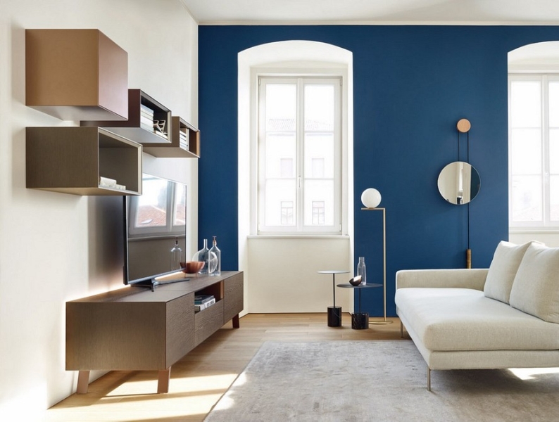 
                                Шкаф под телевизор в зал: тренды, виды, советы по выбору и 78 фото разных моделей                            