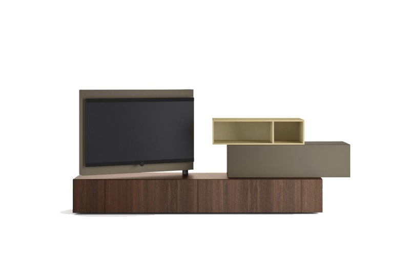 
                                Шкаф под телевизор в зал: тренды, виды, советы по выбору и 78 фото разных моделей                            