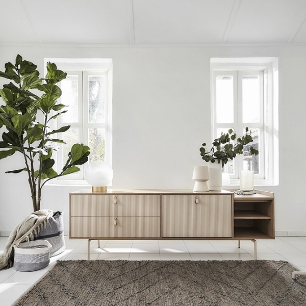 
                                Шкаф под телевизор в зал: тренды, виды, советы по выбору и 78 фото разных моделей                            