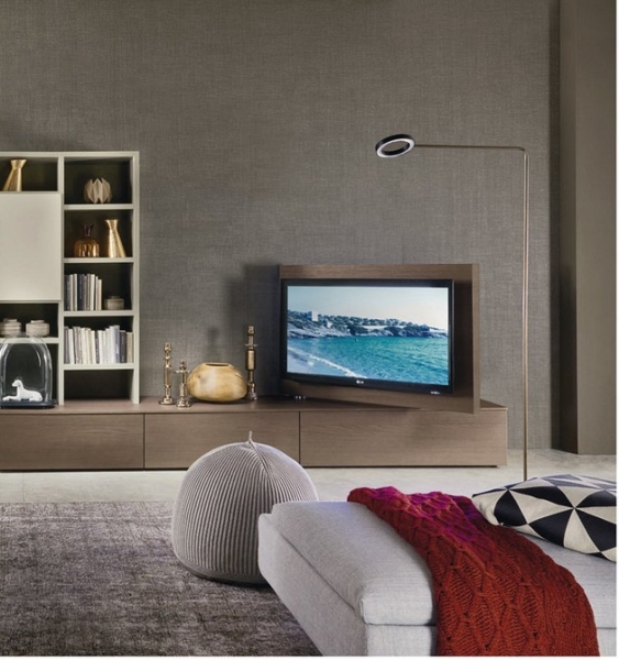 
                                Шкаф под телевизор в зал: тренды, виды, советы по выбору и 78 фото разных моделей                            