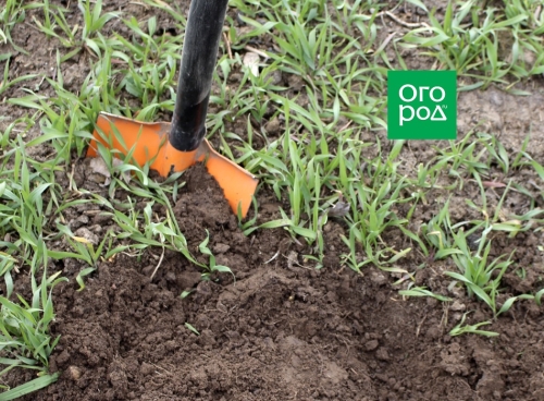 Как подготовить грядки для подзимних посевов: пошаговая инструкция