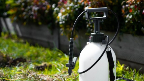 Чем обработать открытый грунт после томатов