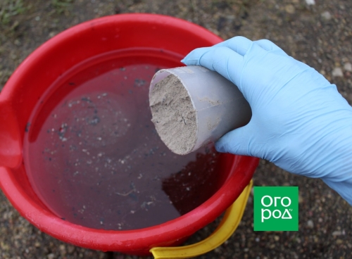 Почему дыня несладкая – 7 основных причин