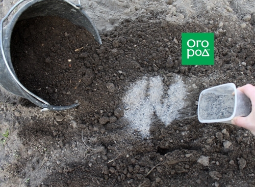 Как подготовить грядки для подзимних посевов: пошаговая инструкция