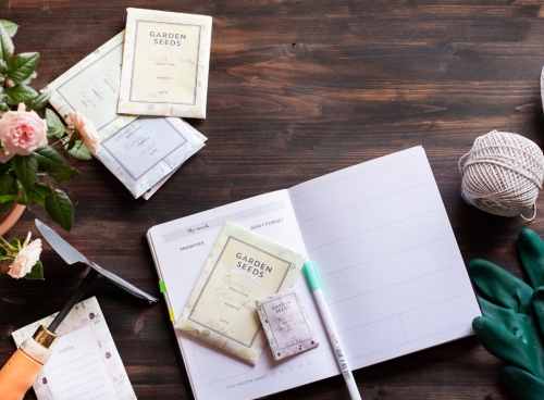 Как подготовить грядки для подзимних посевов: пошаговая инструкция