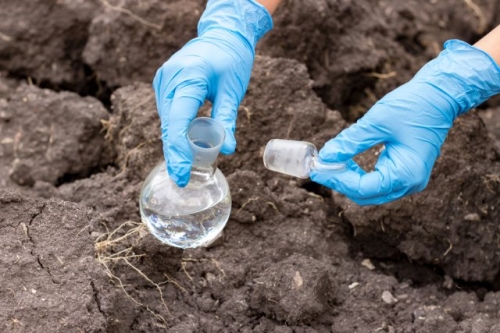 Чем обработать открытый грунт после томатов