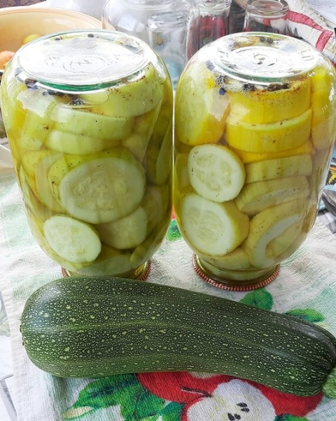 
                                Хранение кабачков: 5 мест, где они долежат до весны                            