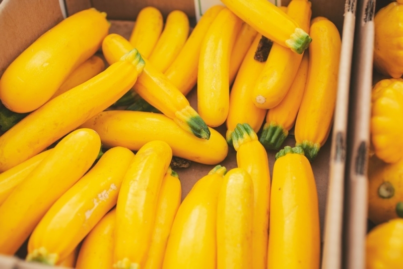 
                                Хранение кабачков: 5 мест, где они долежат до весны                            