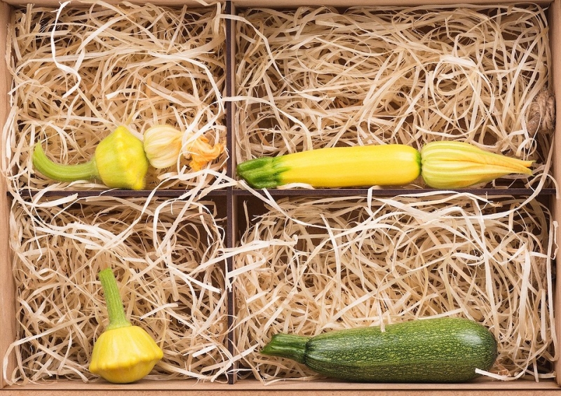 
                                Хранение кабачков: 5 мест, где они долежат до весны                            