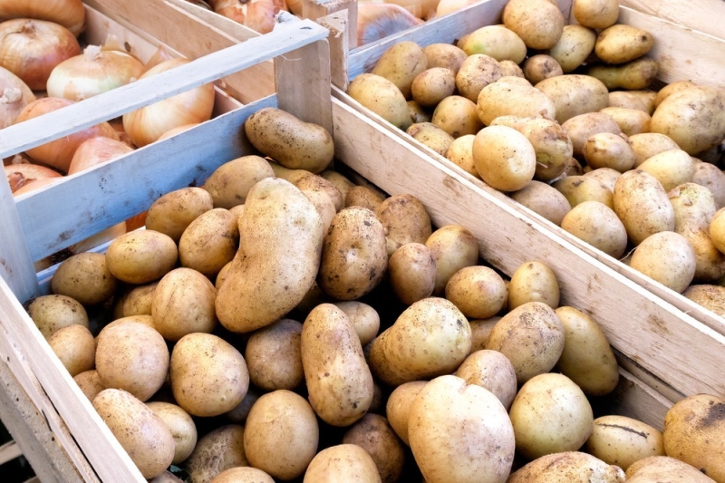 
                                Хранение картошки: 10 разных способов для квартиры и дома (ничего не испортится!)                            