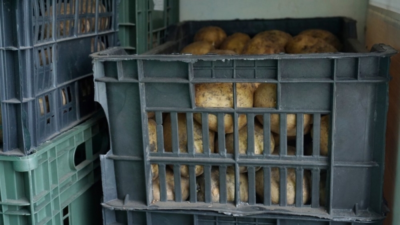 
                                Хранение картошки: 10 разных способов для квартиры и дома (ничего не испортится!)                            