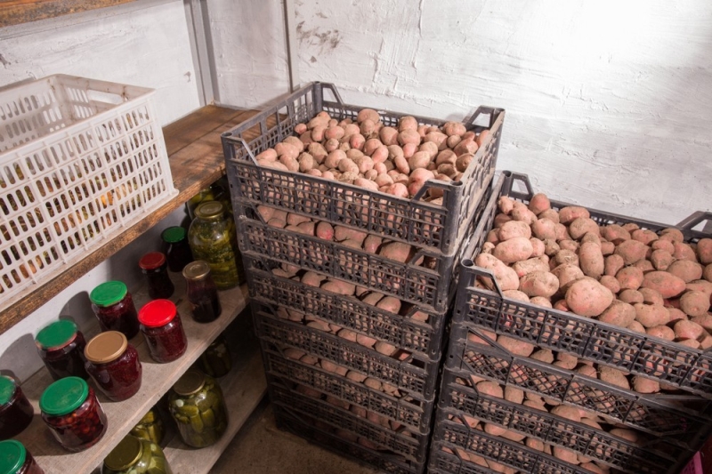 
                                Хранение картошки: 10 разных способов для квартиры и дома (ничего не испортится!)                            