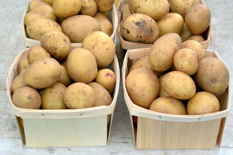 
                                Хранение картошки: 10 разных способов для квартиры и дома (ничего не испортится!)                            