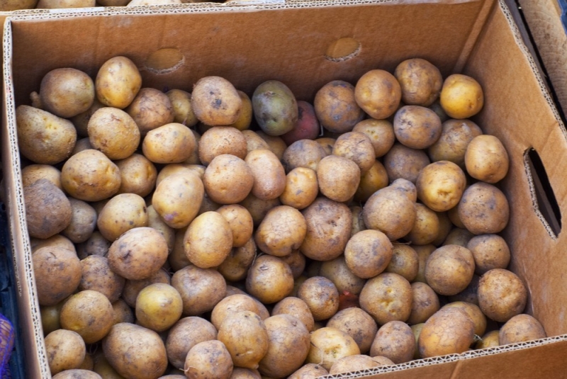 
                                Хранение картошки: 10 разных способов для квартиры и дома (ничего не испортится!)                            