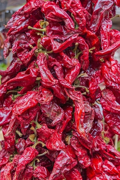 Как хранить перец: 12 способов, чтобы наслаждаться его вкусом долго