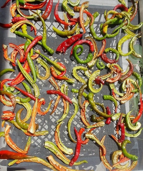 Как хранить перец: 12 способов, чтобы наслаждаться его вкусом долго