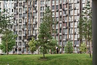 Россиянам посоветовали бороться с мышами с помощью одного метода
