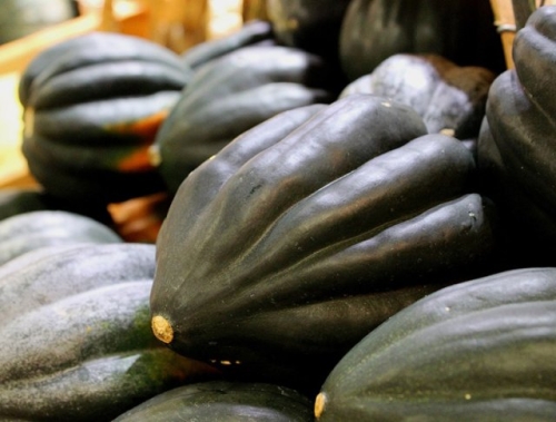 Самые необычные сорта тыквы, кабачков и патиссонов – удиви соседей