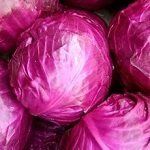 Что можно сажать под зиму – список огородных растений с названиями сортов