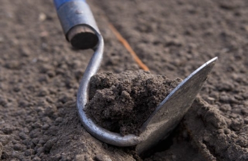 Что можно сажать под зиму – список огородных растений с названиями сортов