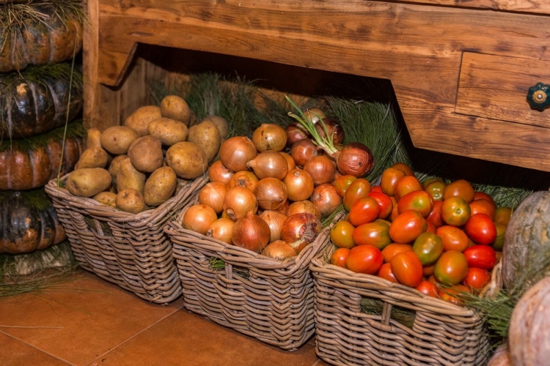 Хранение лука зимой в квартире и доме: 14 способов, с которыми ни одна луковица не пропадет (и 47 наглядных фото)